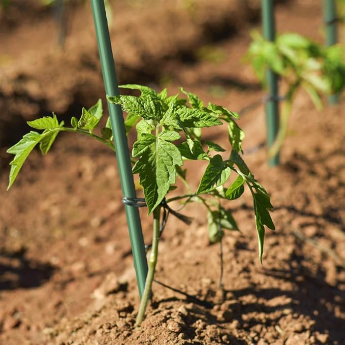Garden Stakes 3Ft 50 Pack, 1/4-Inch Dia Ecofriendly Plant Stakes/Tomato Stakes/Green