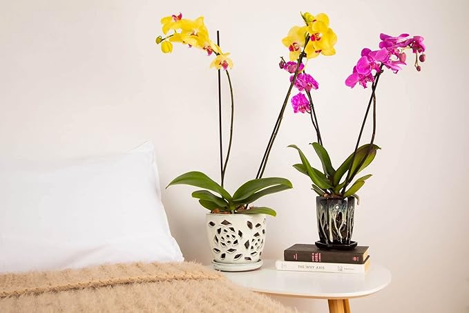rePotme 5 inch Floral Cutout Ceramic Orchid Pot (Emerald Green) - Includes 5 inch Slotted Pot Liner