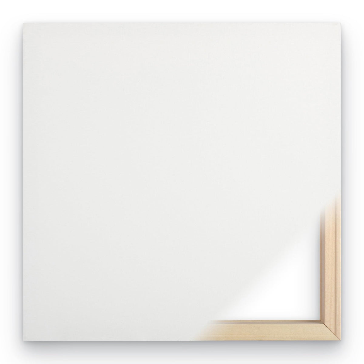 Lisa Audit 'Wild Horses I' Canvas Art