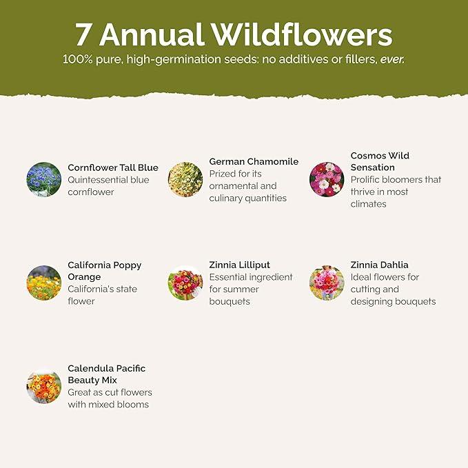 Eden Brothers Field Day Flower Mixed Seeds for Planting, 1/4 lb, 120,000+ Seeds with Zinnia Lilliput, Calendula Mix | Attracts Pollinators, Plant in Spring or Fall, Zones 3, 4, 5, 6, 7, 8, 9, 10