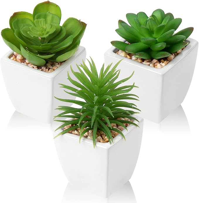 Hollyone Succulents Plants Artificial 3Pcs Small Fake Succulents in Pots Faux Plastic Potted Plants with White Ceramic Pot for Home Decor Classroom Office Bathroom Shelf Indoor & Outdoor Decorations