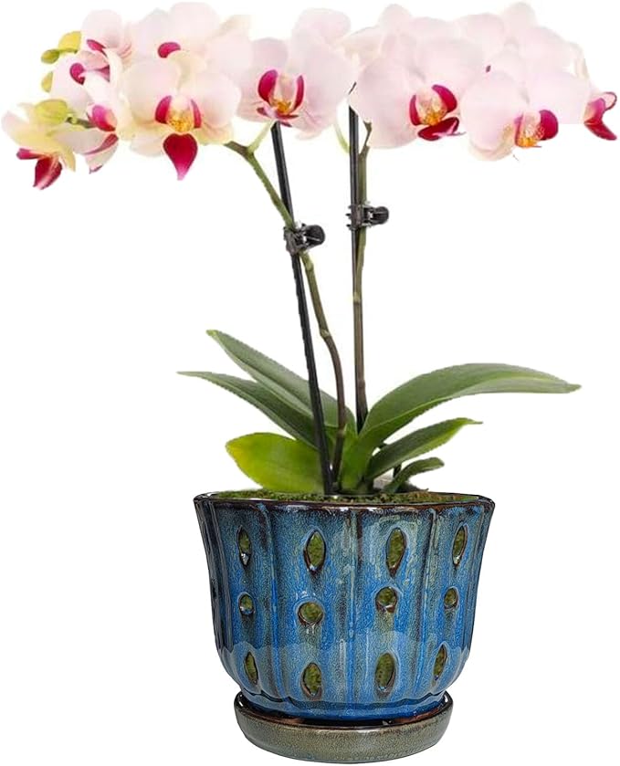 6 inch Round Ceramic Orchid Pot with Holes Orchid Planter (Dark Blue)