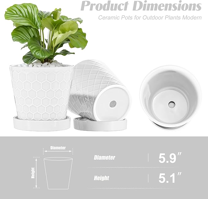 BUYMAX Plant Pots Indoor –6 inch Ceramic Flower Pot with Drainage Hole and Ceramic Tray - Gardening Home Desktop Office Windowsill Decoration Gift, Set of 2(White)