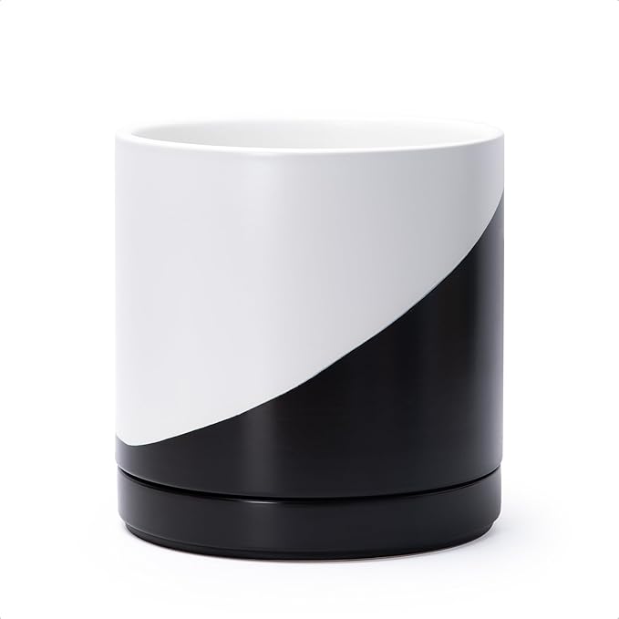 D'vine Dev 8.2 Inch Ceramic Planter Pot with Drainage Hole and Saucer, Indoor Cylinder Round Planter Pot, Oblique Monochrome Black and White, 94-O-D-K