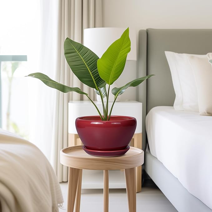 Ceramic Plant Pot 9 Inch - Planter Pot with Drainage Hole and Saucer, Round Large Planter for Indoor Plants, Outdoor Flower Pot for House Patio Decor, Red