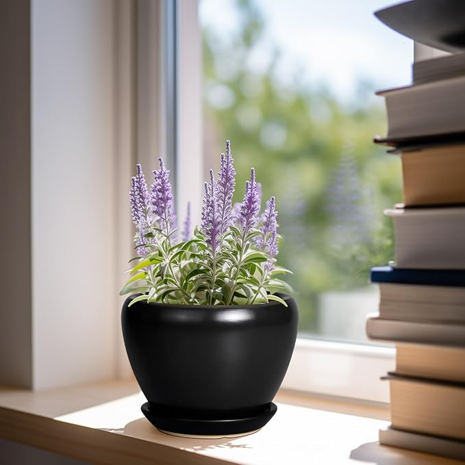 Ceramic Planter Pot - 6 Inch Plant Pot with Drainage Hole and Saucer Round Planter for Indoor Plants Outdoor Succulent Pot Modern Flower Pot for Home Decor Black