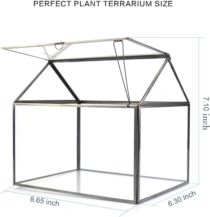 Black 1 Large Glass Plant Terrarium Kit with Lip Greenhouse for Succulents