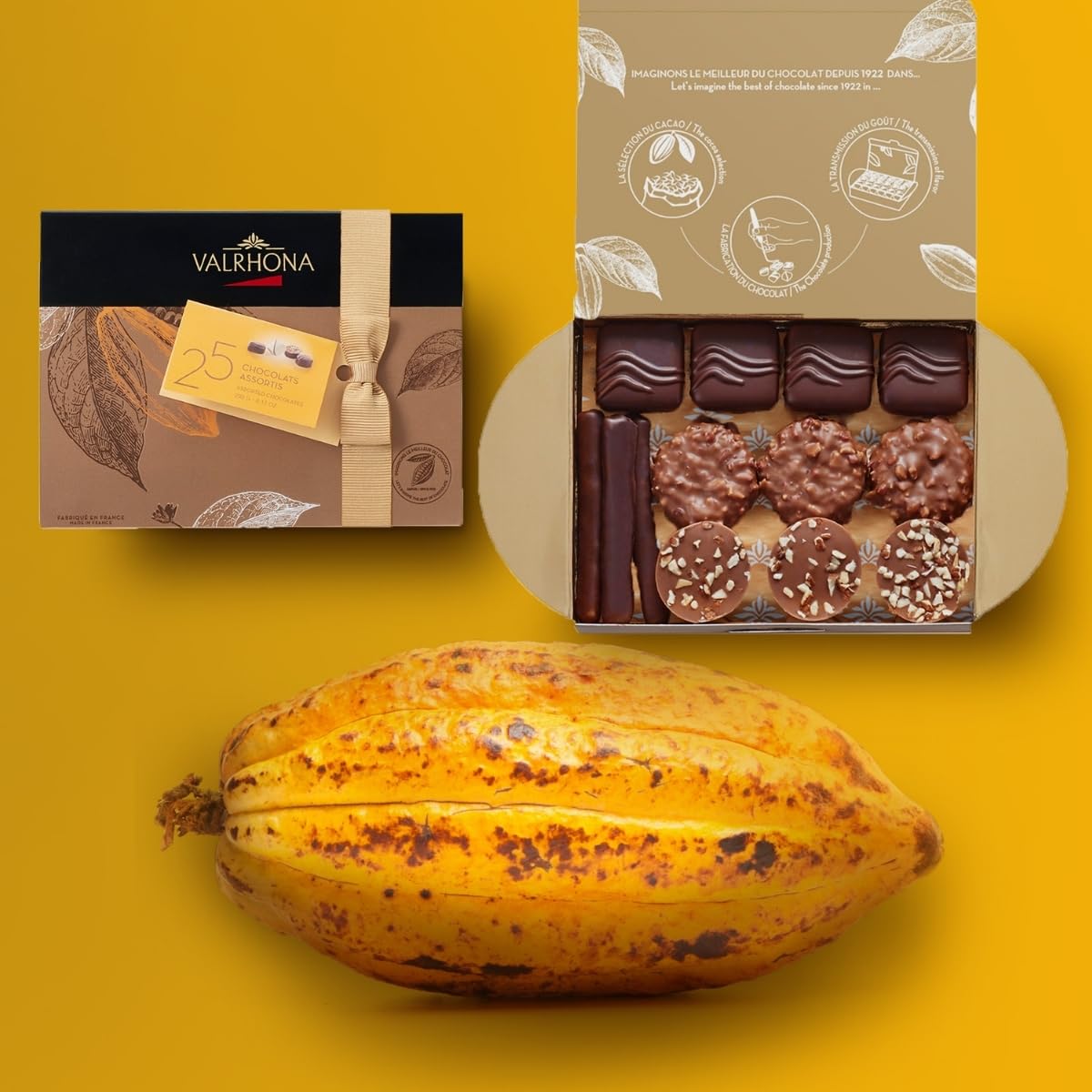 Valrhona - Premium French Assorted Gift Box of 25 Chocolate Bonbons 230G, Gourmet French Chocolate, Perfect Holiday Gift