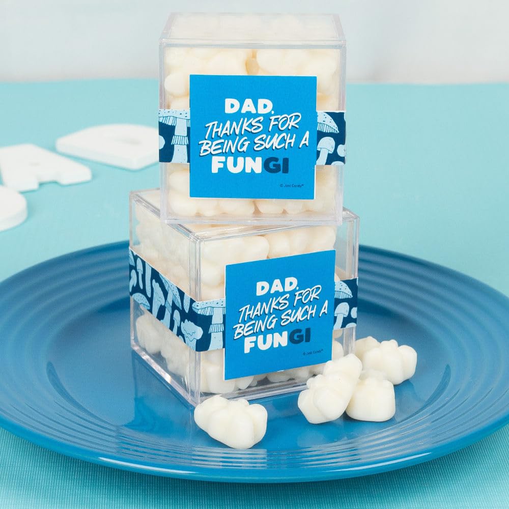 24 Pack Father's Day Candy Favor Cubes Filled With Sugar Gummy Bears For Father's Day Celebration Favors, Church Giveaways, Corporate Treats