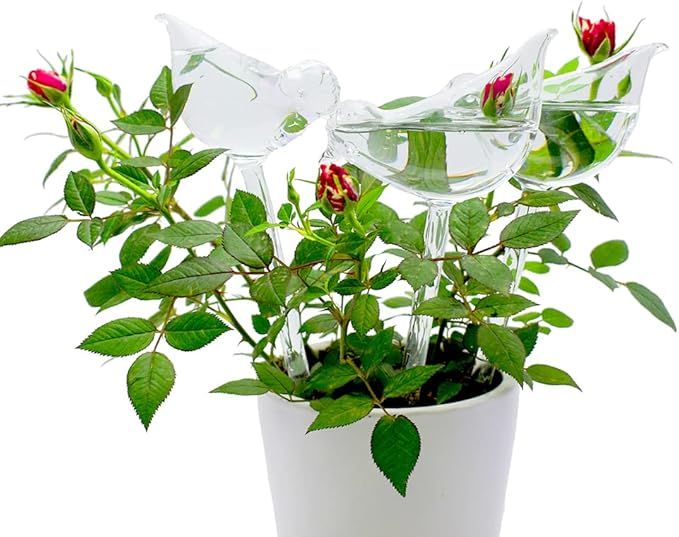 Glass Plant Watering Globes, Self Watering Globes Bird Shape, Self Watering Planter Insert, Plant Watering Devices, Automatic Plant Waterer Indoor, Watering Bulbs, 2 Pack