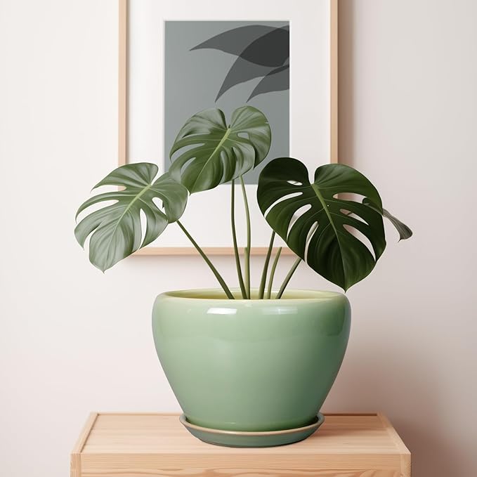 Ceramic Planter Pot - 10 Inch Plant Pot for Indoor Plants Decorative Planter with Drainage Hole and Saucer Large Pot for Plants Outdoor Round Flower Pot for Garden Green