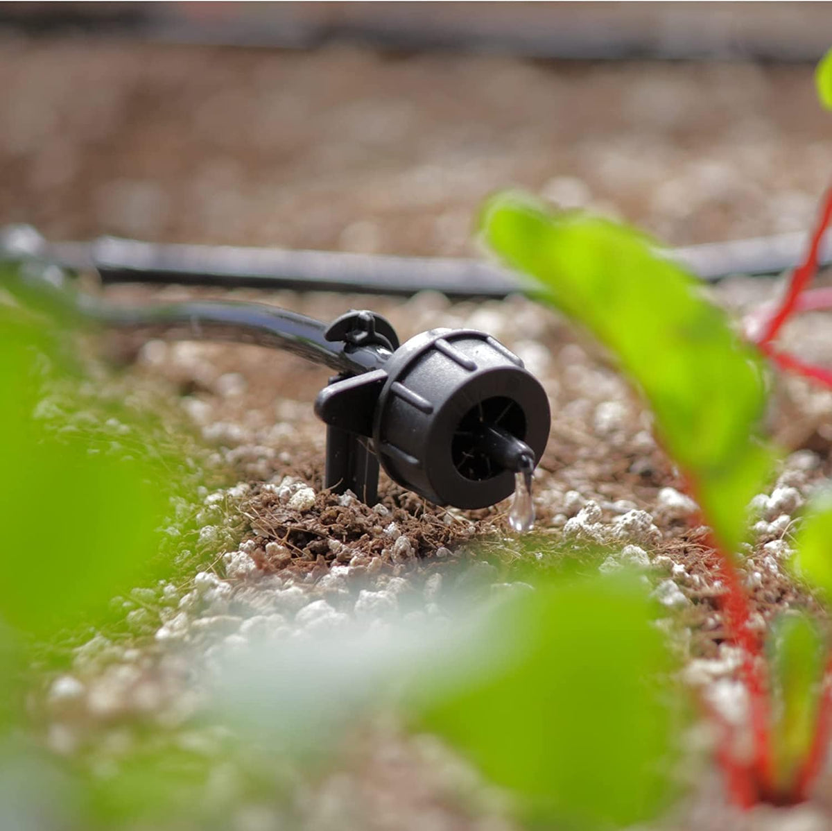 AEO Solar-Powered Automatic Watering Drip Irrigation System, 50 Drippers, 155 ft for Balcony Greenhouse Raised Garden Bed