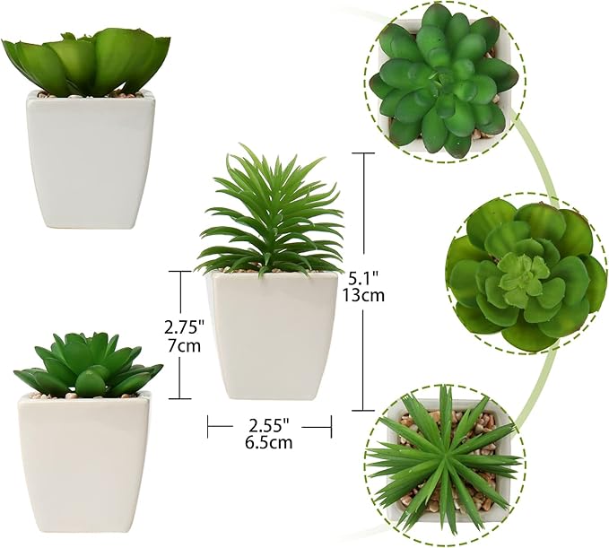 Hollyone Succulents Plants Artificial 3Pcs Small Fake Succulents in Pots Faux Plastic Potted Plants with White Ceramic Pot for Home Decor Classroom Office Bathroom Shelf Indoor & Outdoor Decorations