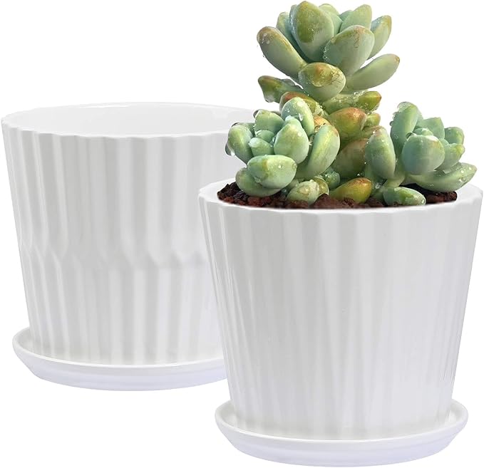Plant Pots - 6.7 Inch Cylinder Ceramic Planters with Connected Saucer, Pots for Succuelnt and Little Snake Plants, Set of 2, White