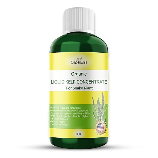 Organic Seaweed Kelp Liquid Fertilizer for Snake Plant (Sansevieria, Dracaena trifasciata) - Snake Plant Fertilizer - Snake Plant Food - Live Plant Care (8 OZ)