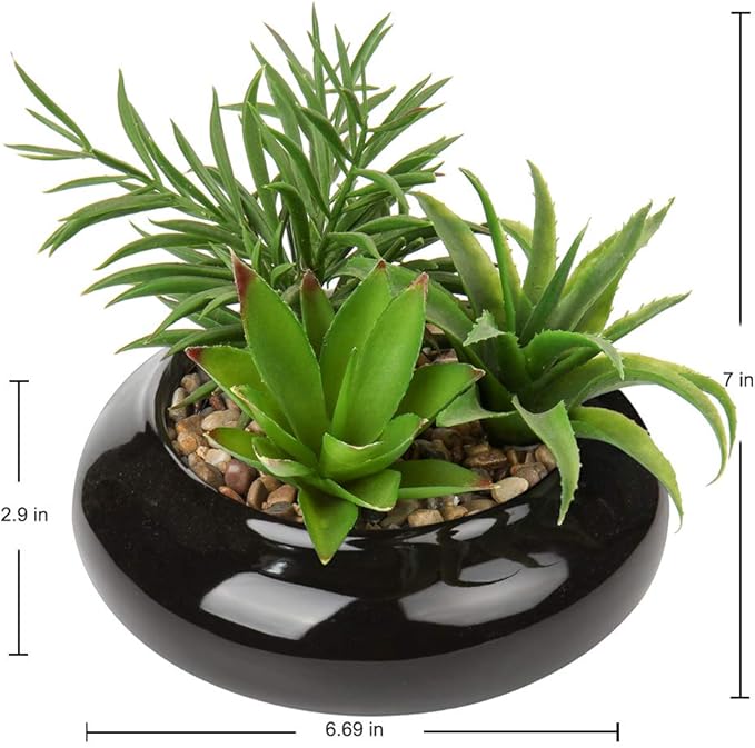 Hollyone Large Artificial Succulents Plants Faux Succulents in Pots Fake Succulent Potted Plants with Black Ceramic Pot for Home Decor Office Desk Bathroom Living Room Indoor & Outdoor Decorations