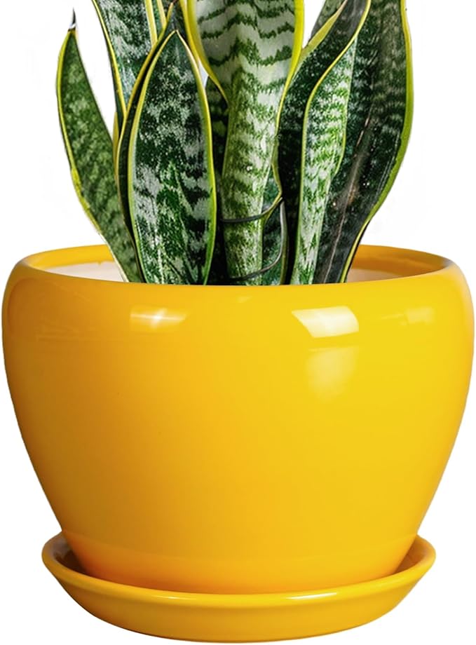 8 Inch Plant Pot - Glaze Modern Round Ceramic Planter for Indoor Outdoor Plants with Drainage Hole and Saucer for Home Patio Room Office Decor, Yellow