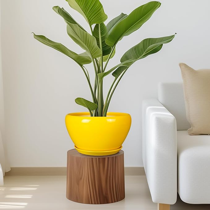 Indoor Planter 11 Inch - Decorative Mid-Century Large Ceramic Plant Pot for Outdoor Plants with Drainage Hole and Saucer, Home Balcony House Garden Patio Office Room Decor, Yellow
