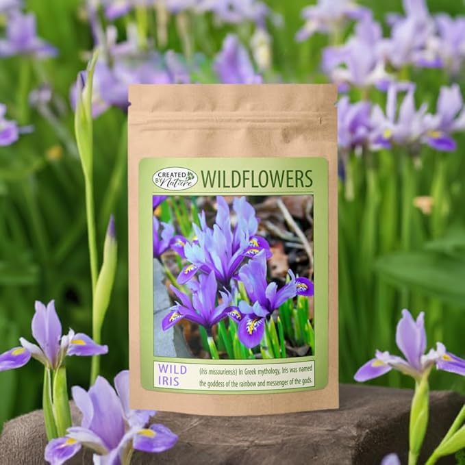 Wild Iris (Iris missouriensis) Seeds | 400+ Non-GMO Wildflower Seeds for Pollinators, Perennial Flowers for Meadows, Gardens