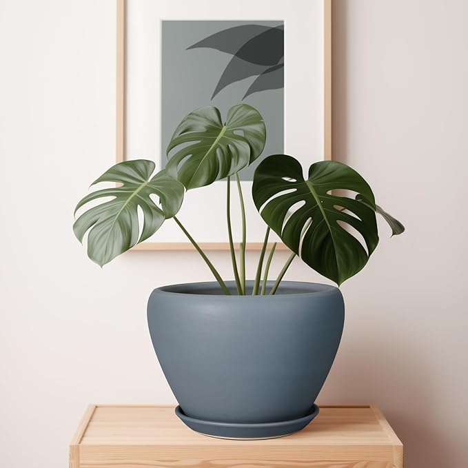 10 Inch Plant Pot - Ceramic Planter for Indoor Plants Large Plant Pot with Drainage Hole and Saucer Round Outdoor Planter Modern Flower Pot for Home Decor Gray