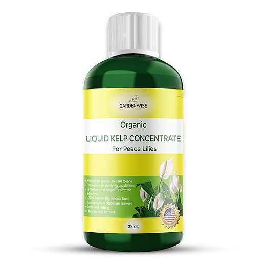 Organic Premium Kelp Seaweed Fertilizer for Peace Llily - Liquid Plant Food - Nutrient-Rich Soil Enhancer - Natural Plant Food for Spathiphyllum (32 OZ)