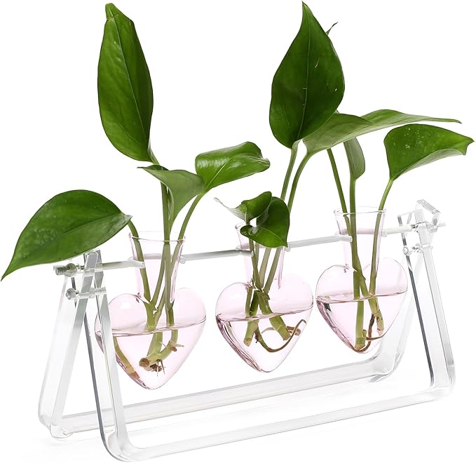 Plant Terrarium Propagation Stations with Acrylic Stand Birthday Gifts for Women Plant Stand Indoor Office Home Decor