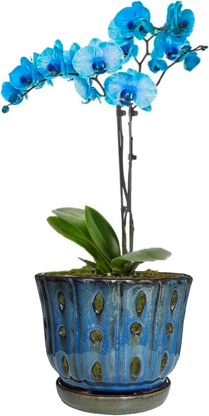 6 inch Round Ceramic Orchid Pot with Holes Orchid Planter (Dark Blue)
