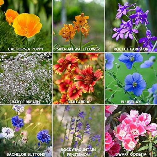 Rocky Mountain Wildflower Seeds Mix - 5 Lb Seed Pouch - 22 Wild Flower Seed Varieties - Annuals, Perennials and Bi-Annuals - Flower Garden