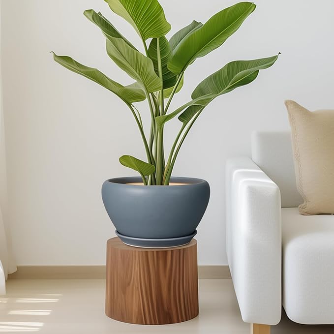 Ceramic Plant Pot - 11 Inch Planter for Indoor Plants Large Plant Pot with Drainage Hole and Saucer Round Outdoor Planter Modern Flower Pot for Home Decor Gray