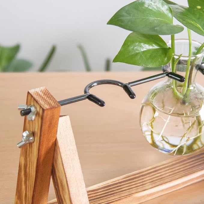 Ivolador I Plant Propagation Station, Bulb Plant Terrarium with Wooden Stand, Unique Gardening Gifts for Women, Hydroponic Indoor Planter, Home Office Garden Wedding Decor - 3 Bulb Glass Vases