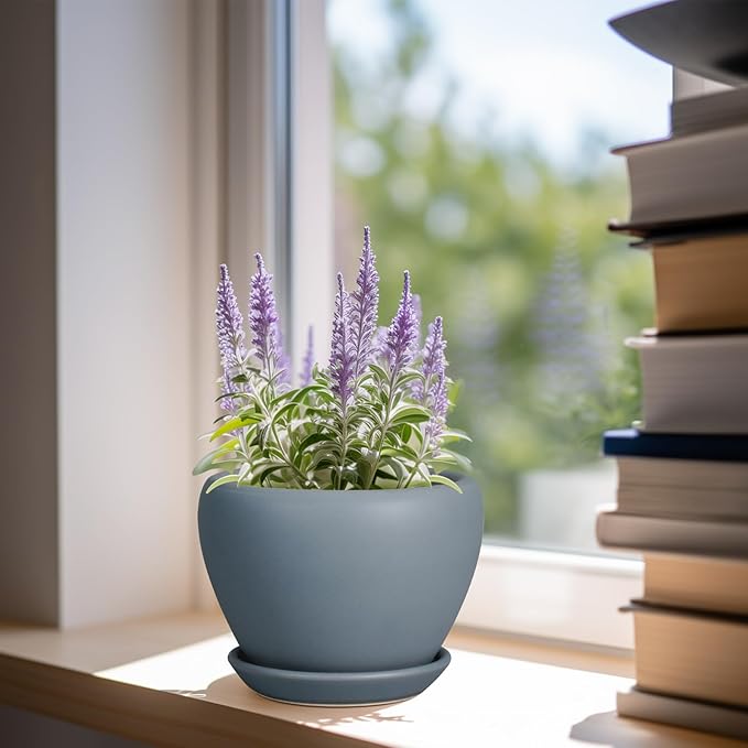 Ceramic Pot for Plants - 6 Inch Plant Pot Indoor with Drainage Hole and Saucer Decorative Planter for Outdoor Plants Modern Succulent Pots Round Flower Pots Gray