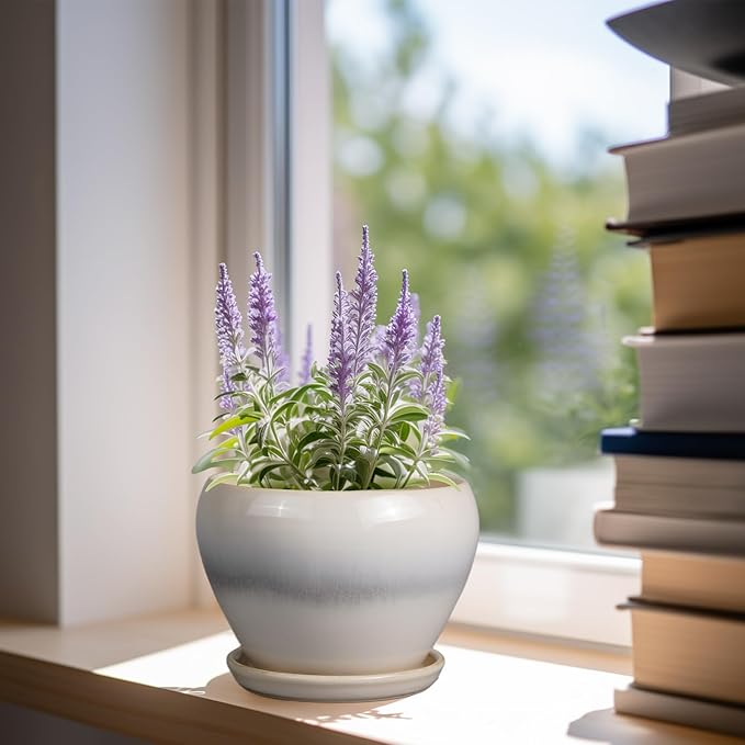 Planter Pot 6 Inch - Ceramic Plant Pot with Drainage Hole and Saucer, Round Glaze Succulent Pot for Plants, White
