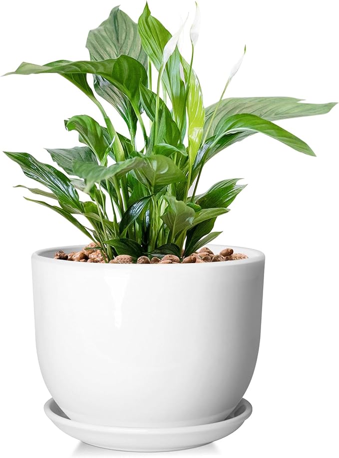 8 Inch Ceramic Planter, Plant Pots with Drainage Hole and Separable Saucer,Indoor-Outdoor Round Succulent Orchid Flower Pot,Indoor pots for Plants(Smooth White,Plant Pot only)