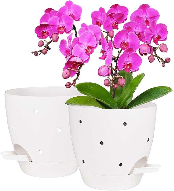 6 Inch Orchid Pots with Holes, 2 Pack Self Watering Planters for Orchids Plastic Orchid Pot Plant Flower Pots for Orchids Indoor Outdoor (White)