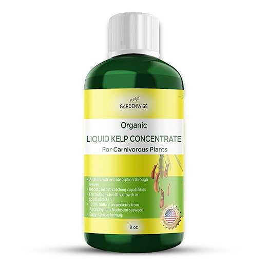 Organic Premium Kelp Seaweed Fertilizer: Indoor Plant Fertilizer & Carnivorous Plant Food for Venus Flytraps, Sundews, Drosera Capensis,Pitcher Plants,Butterworts & Other (8 OZ)
