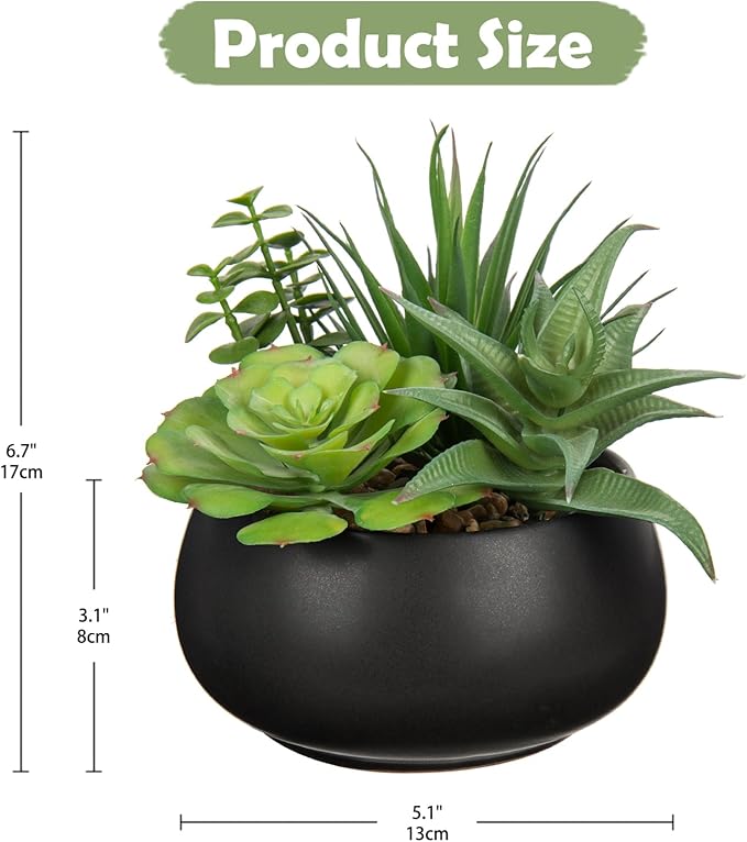 Fake Plants Artificial Succulents in Pots Faux Succulent Arrangement Potted Plant with Black Ceramic Pot for Home Decor Modern Office Desk Bathroom Shelf Living Room Indoor & Outdoor Decoration