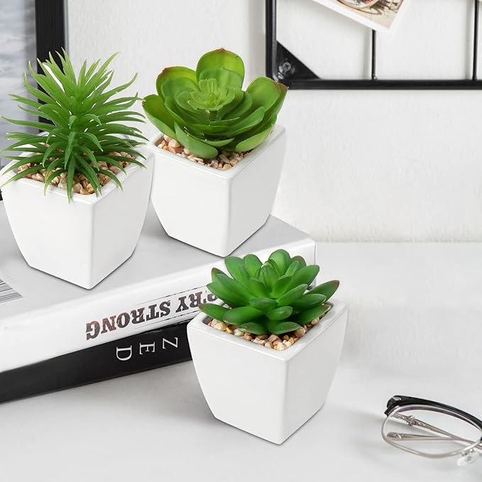 Hollyone Succulents Plants Artificial 3Pcs Small Fake Succulents in Pots Faux Plastic Potted Plants with White Ceramic Pot for Home Decor Classroom Office Bathroom Shelf Indoor & Outdoor Decorations
