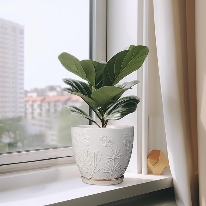 8 Inch Ceramic Pots for Plants Large Planter Pot with Drainage Hole and Saucer Round Flower Pot for Indoor Outdoor Decor, White