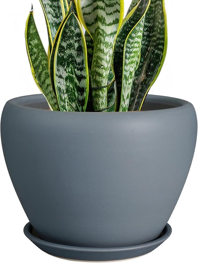 Ceramic Pot for Plants - 8 Inch Plant Pot Indoor with Drainage Hole and Saucer Decorative Planter for Outdoor Plants Modern Flower Pot for Home Decor Garden Gray