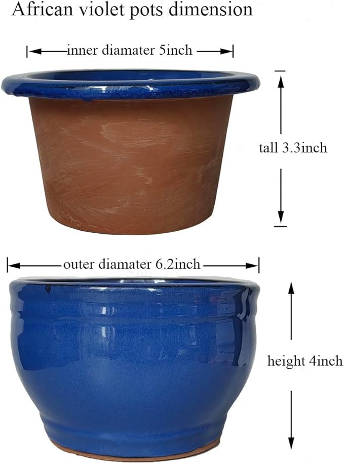 African Violet Pots Self Watering Round Ceramic Violet Pot (Blue, 6 inch)