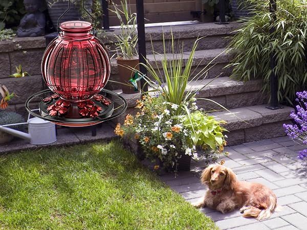Glass Hummingbird Feeder for Outdoors Hanging, 26Oz Bird Nectar Feeder with Perch & 5 Flower Feeding Ports, Leak Proof for Outside Garden Decor Backyard, Gifts for Women Mom, Red