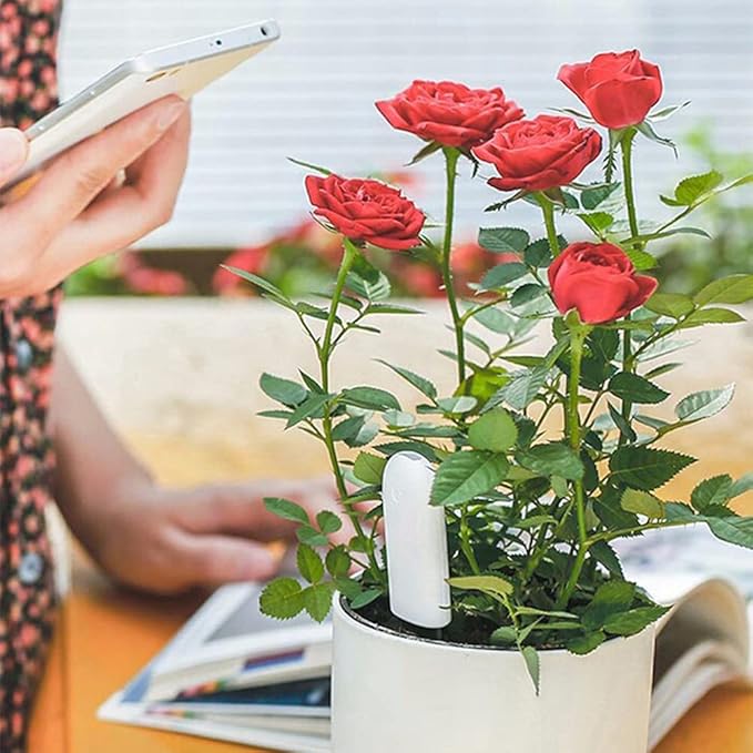 Soil Moisture Meter 4 in 1,Plant Water Monitor,Automatically detect Moisture/Temperature/Light/Fertility,Can Connect to Mobile Phone via Bluetooth,Hygrometer Sensor for Indoor Plants (1pc)