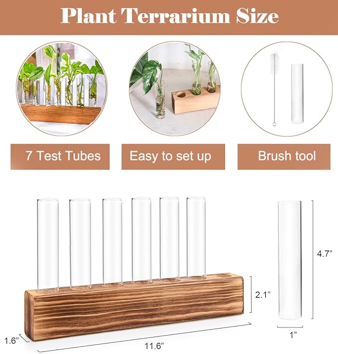 KAXYEW Plant Terrarium with Wooden Stand, Plant Propagation Tubes, 7 Test Tubes Glass Planter for Hydroponic Plant Cuttings Home Office Décor