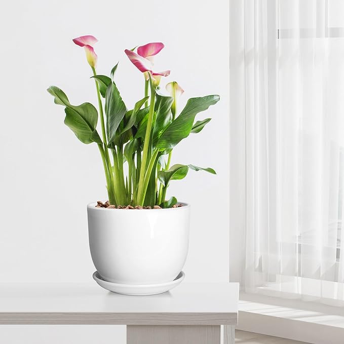 8 Inch Ceramic Planter, Plant Pots with Drainage Hole and Separable Saucer,Indoor-Outdoor Round Succulent Orchid Flower Pot,Indoor pots for Plants(Smooth White,Plant Pot only)