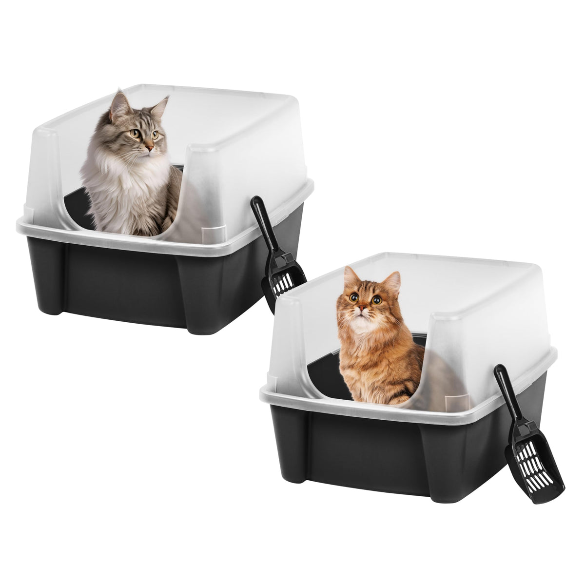 IRIS USA High Sided Cat Litter Box, Scatter Shield, Large, Black 2 Pack