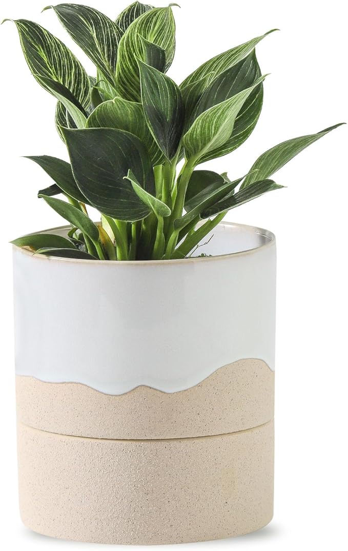 Nihow Self Watering Plant Pot: 4.5 Inch Ceramic Planter with Drainage Hole & Water Storage Plus for Indoor & Outdoor Plants - Cylinder Flower Pot for Herbs/Violets - White & Nature