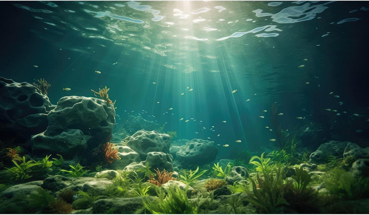 Under The Sea Aquarium Background Deep Sea Aquatic Plants Fish Tank Background Underwater Rock Sunray Terrarium Backgrounds Tropical Fish Deep Ocean Floor Fish Tank Backgrounds 48x18in