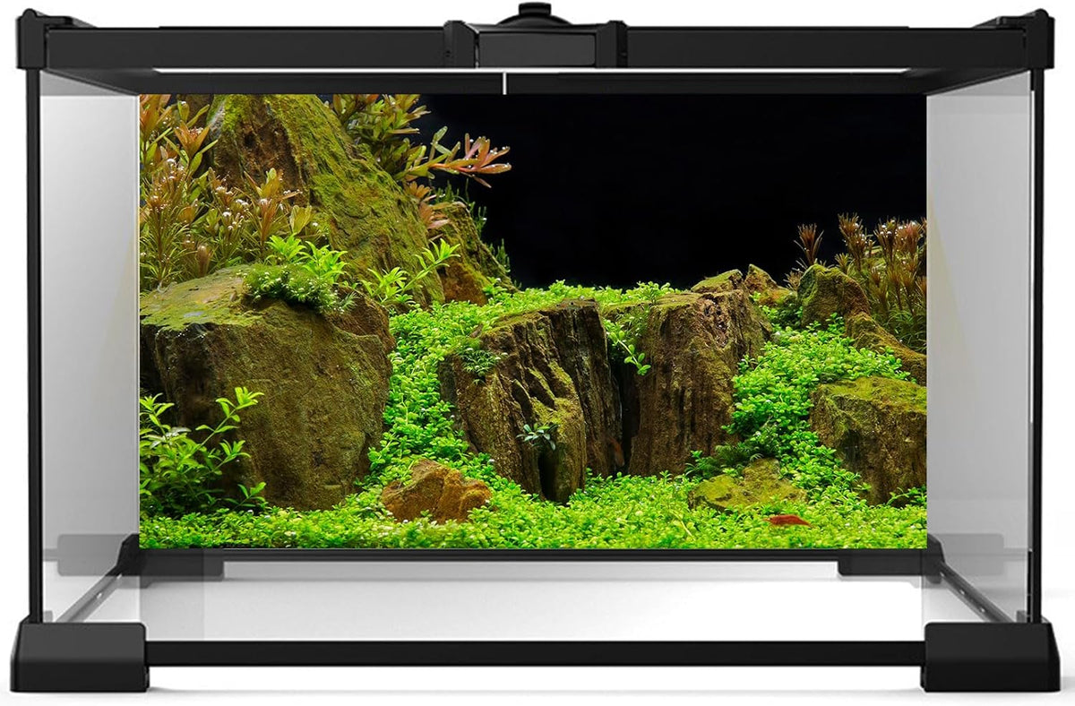 Aquarium Background Exquisite Underwater Grass with Moss Aquarium Backdrop Mysterious Stone Aquarium Background Durable Vivid and Fresh Leaves Background Tank Backdrop Decor Vinyl 48x20in
