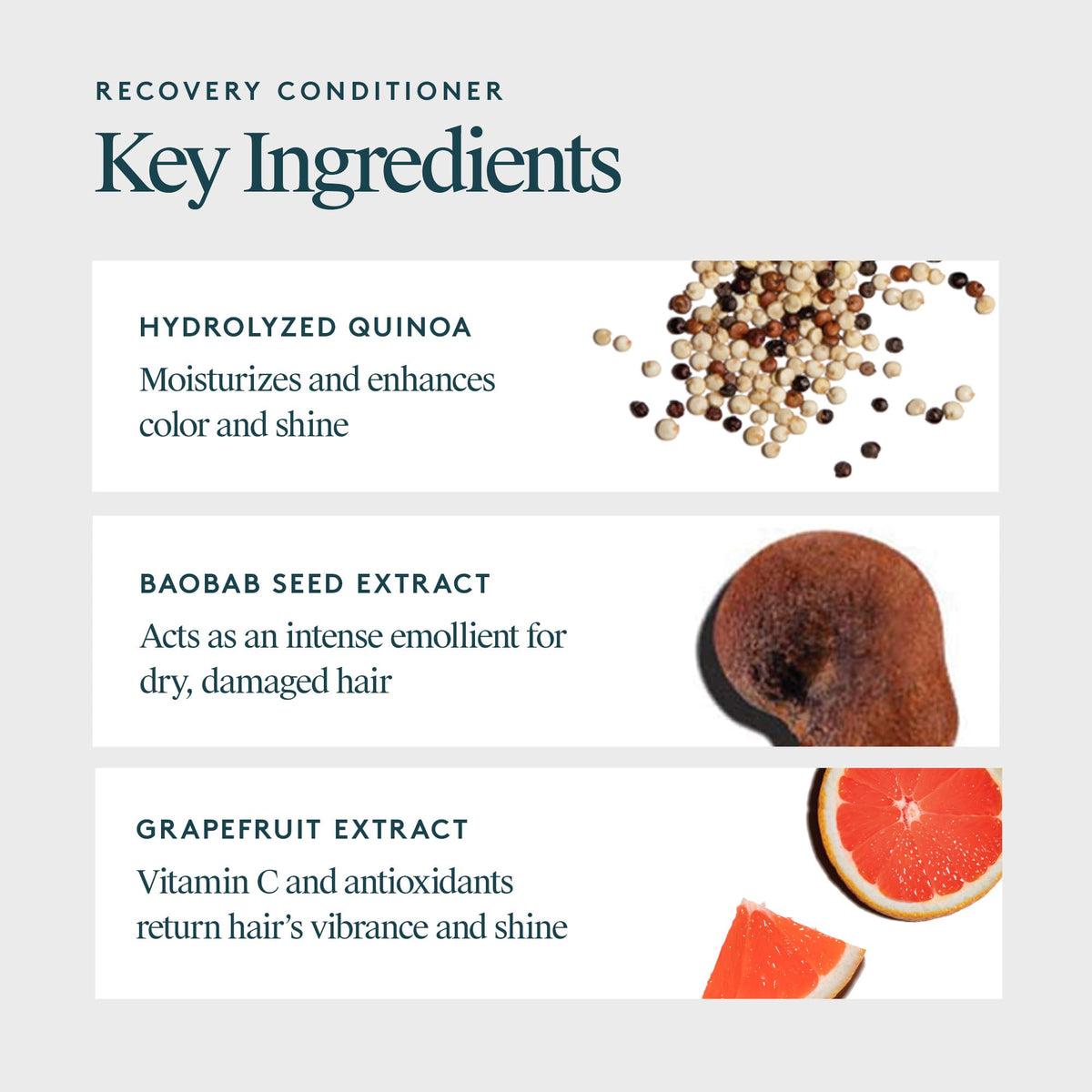VIRTUE Recovery Conditioner with Keratin Hydrates, Softens, and Renews Damaged Hair, Sulfate Free, Color Safe