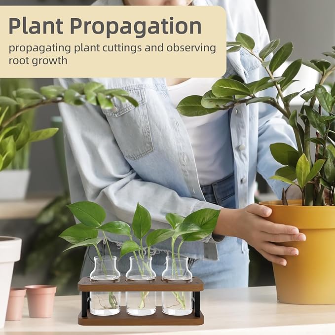 THYGIFTREE Plant Propagation Station with Wooden Stand, Propagation Vases Glass Planters for Indoor Plants Hydroponic Propagating Jars Home Office Decor, Brown